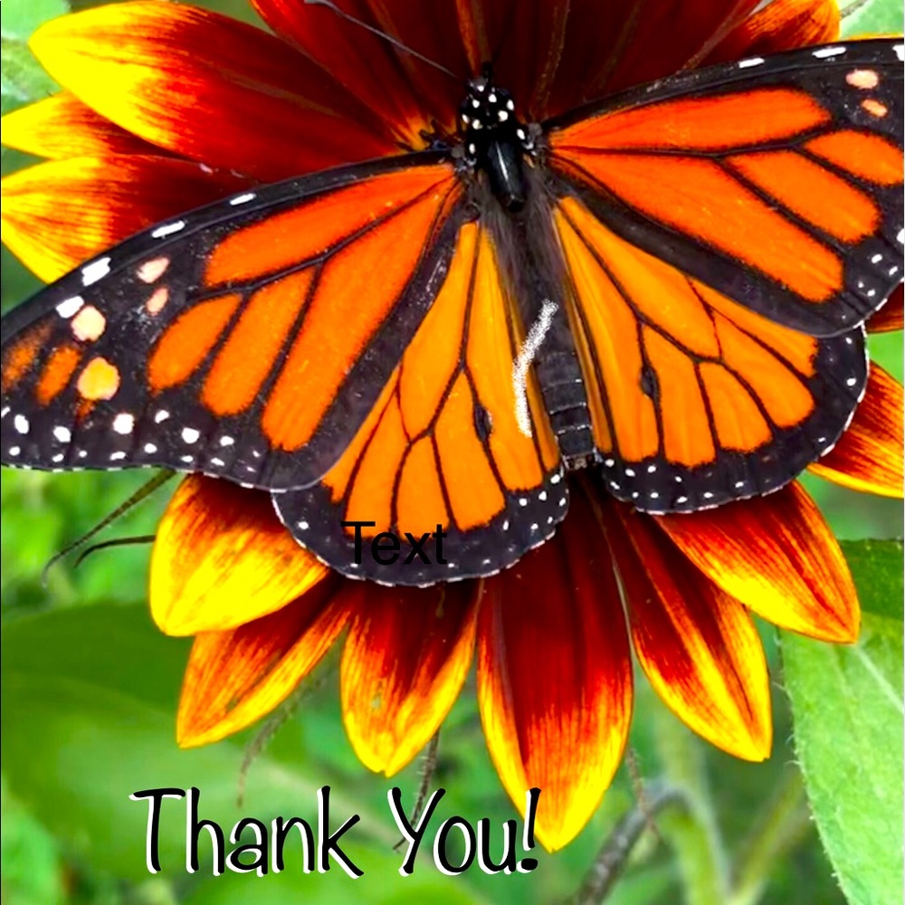 Thanks So Much For Your Purchase!